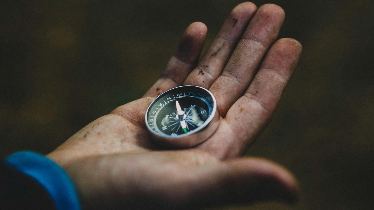 10 Essential Survival Skills Every Explorer Should Master